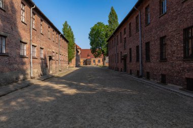 Auschwitz-Birkenau, Polonya - 12 Ağustos 2019: Holokost Anıtı