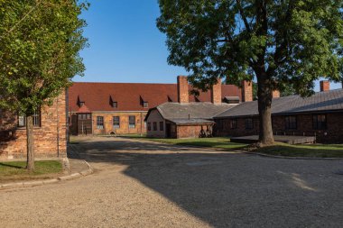 Auschwitz-Birkenau, Polonya - 12 Ağustos 2019: Holokost Anıtı