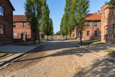 Auschwitz-Birkenau, Polonya - 12 Ağustos 2019: Holokost Anıtı