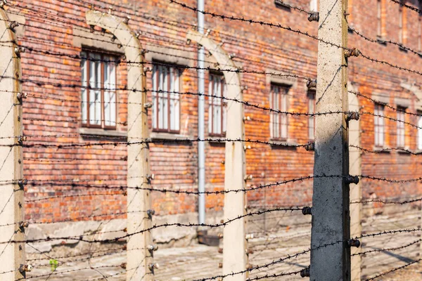 Auschwitz-birkenau, polen - 12. August 2019: Holocaust-Mahnmal — Stockfoto