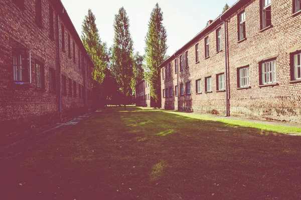 Auschwitz-Birkenau, Polska-12 sierpnia 2019: pomnik Holokaustu — Zdjęcie stockowe