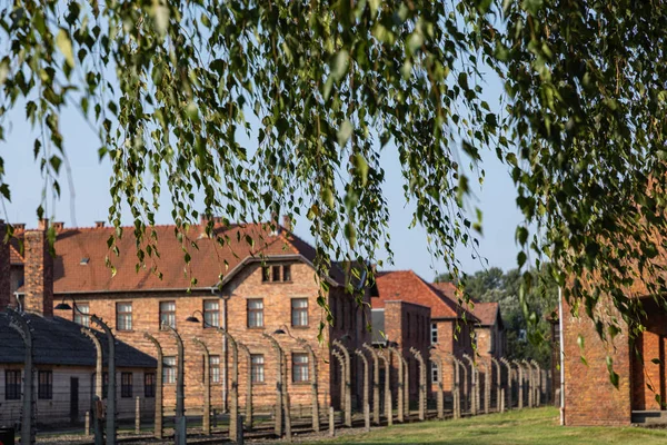 Auschwitz-Birkenau, Polsko-srpen 12, 2019: památník holocaustu — Stock fotografie
