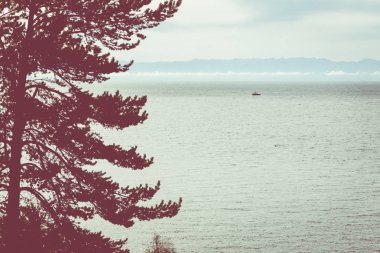 Listvyanka köyünde Baykal Gölü'nde Angara nehri. Yaz landsc