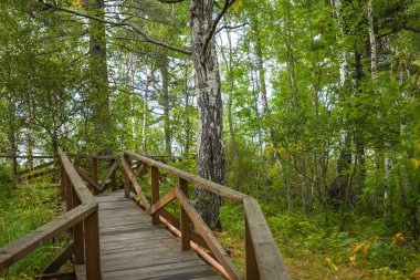 Listvyanka köyünde Baykal Gölü'nde Angara nehri. Yaz landsc