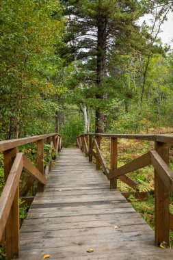 Listvyanka köyünde Baykal Gölü'nde Angara nehri. Yaz landsc