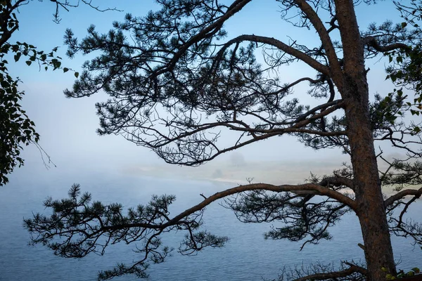 Angara river at lake Baikal in Listvyanka village. Summer landsc — Stock Photo, Image