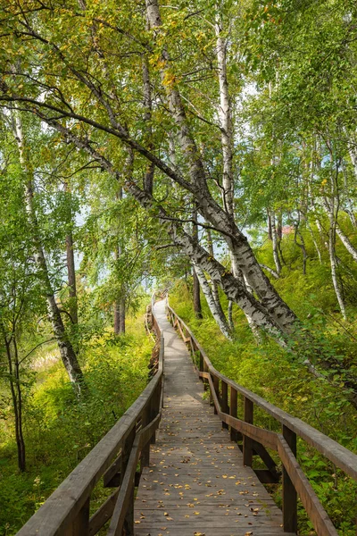 Řeka Angara u jezera Baikal ve vesnici Listvyanka. Letní landsc — Stock fotografie