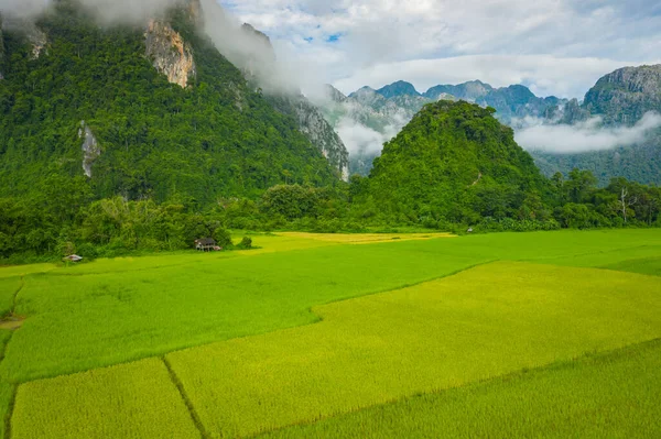 Vista aérea de campos de arroz verde y montañas, arrozal en V — Foto de Stock