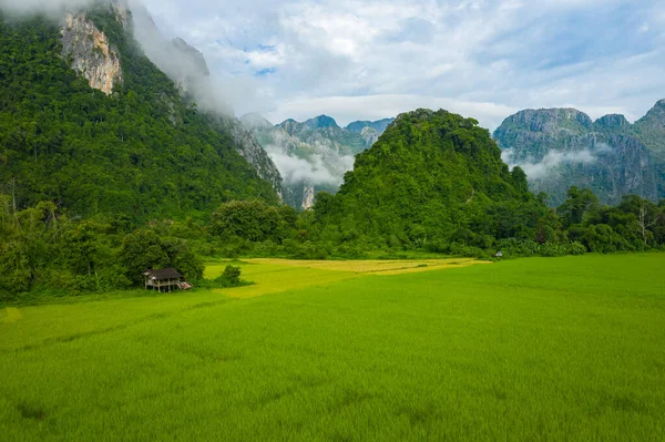 Vista aérea de campos de arroz verde y montañas, arrozal en V — Foto de Stock