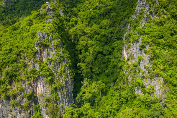 Vista aerea della foresta pluviale tropicale. Laos del Nord. Sud-est asiatico . — Foto Stock