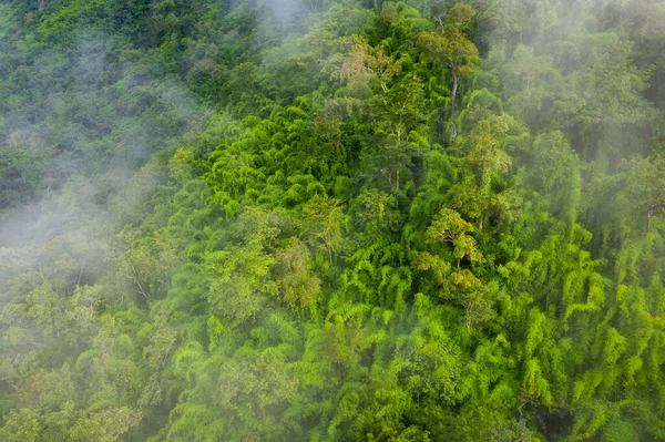 Luchtfoto van tropisch regenwoud. Noord-Laos. Zuidoost-Azië. — Stockfoto