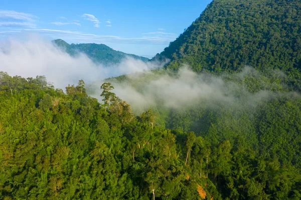 Widok z lotu ptaka na lasy tropikalne. Północny Laos. Azja Południowo-Wschodnia. — Zdjęcie stockowe