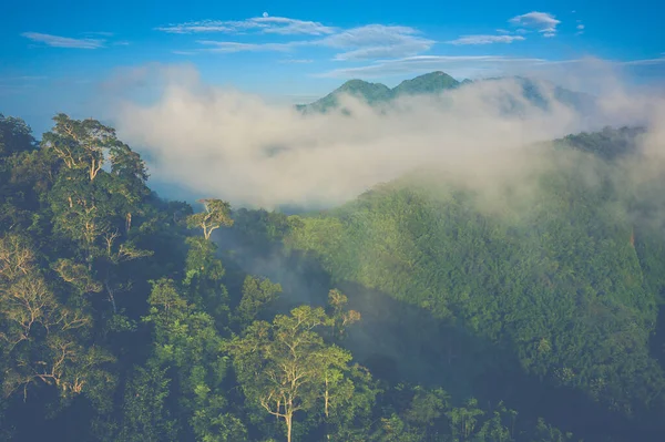 Widok z lotu ptaka na góry Nong Khiaw. Północny Laos. Południowo-wschodnie As — Zdjęcie stockowe