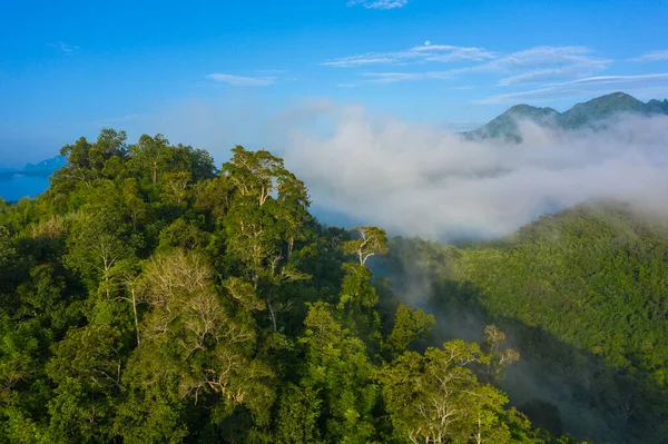 Вид з повітря на тропічний ліс. Північний Лаос. Східна Азія. — стокове фото