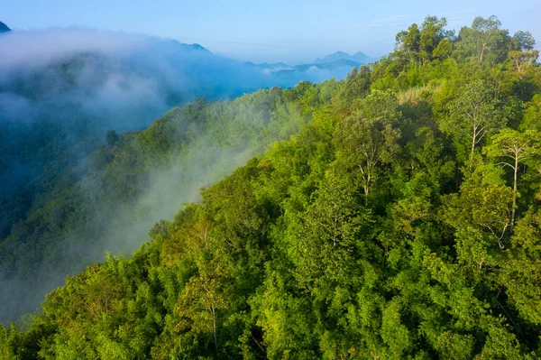 Widok z lotu ptaka na lasy tropikalne. Północny Laos. Azja Południowo-Wschodnia. — Zdjęcie stockowe