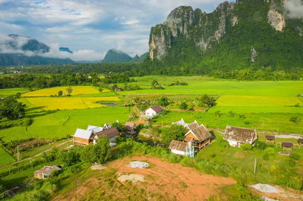 Légi kilátás zöld rizs mezők és hegyek, rizsföld V — Stock Fotó