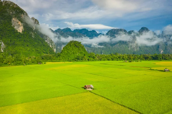 Vista aérea de campos de arroz verde y montañas, arrozal en V — Foto de Stock