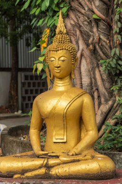 Budist tapınağındaki Buda heykeli Vat Haysoke, Vientiane 'de. Laos. 