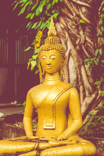 Estátua de Buda no templo buddista Vat Haysoke em Vientiane. Laos. . — Fotografia de Stock