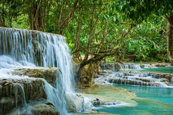 Agua turquesa de la cascada Kuang Si, Luang Prabang, Laos. Trop. —  Fotos de Stock