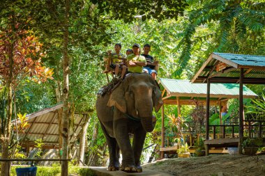 Luang Prabang, Laos - 12 Ekim 2019 Tad Sae Wate fili