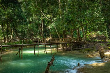 Luang prabang 'da Tad Sae Şelalesi, Laos.