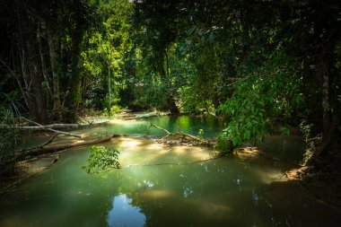 Luang prabang 'da Tad Sae Şelalesi, Laos.