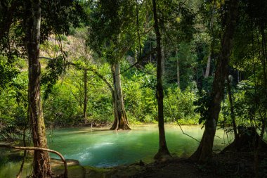 Luang prabang 'da Tad Sae Şelalesi, Laos.