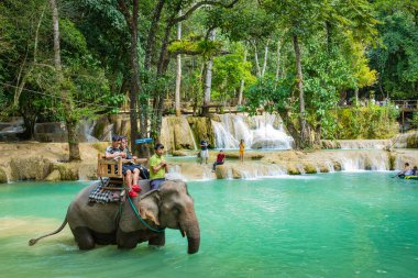 Luang Prabang, Laos - 12 Ekim 2019 Tad Sae Wate fili