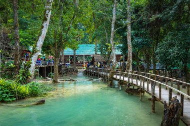 Luang prabang 'da Tad Sae Şelalesi, Laos.