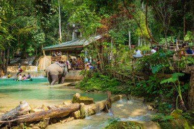Luang Prabang, Laos - 12 Ekim 2019 Tad Sae Wate fili