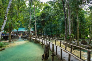 Luang prabang 'da Tad Sae Şelalesi, Laos.