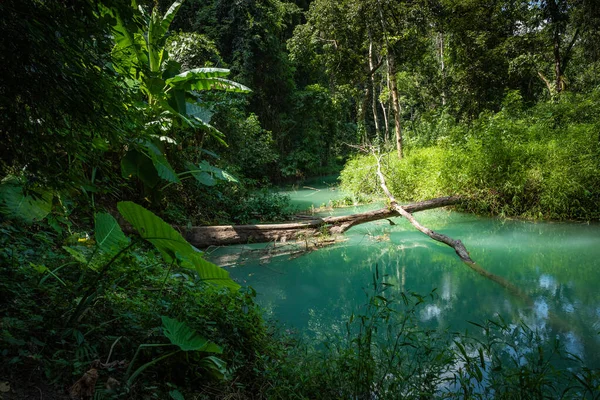 Tad Sae Waterfall i provinsen Luang prabang, Laos. — Stockfoto