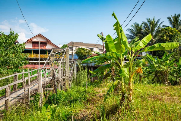 Byn och bergen i vang vieng, laos — Stockfoto