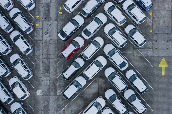 Yeni araba hava görüntüsünü ayarladı. İthalat ve ihracat şirketi lojistiği satış için. Ticari iş dünyası için otomobil ve otomobil otoparkı.
