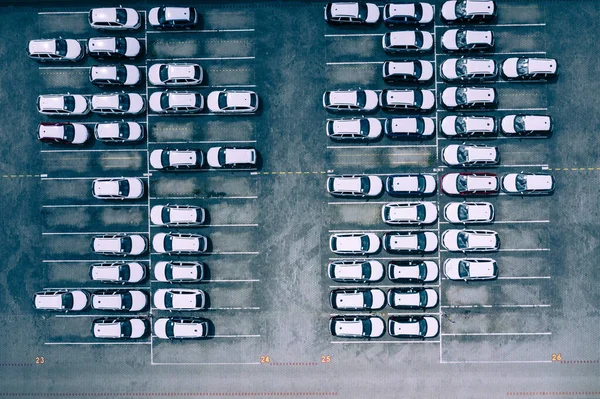 New Car Lined Aerial View Port Import Export Business Logistic — Stock Photo, Image