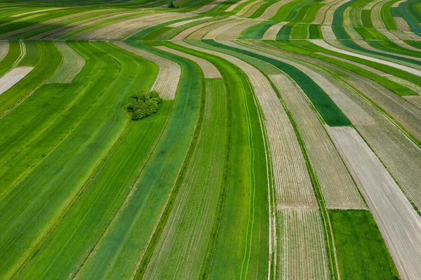 Polen Von Oben Luftaufnahme Von Grünen Landwirtschaftlichen Feldern Und Dörfern — Stockfoto