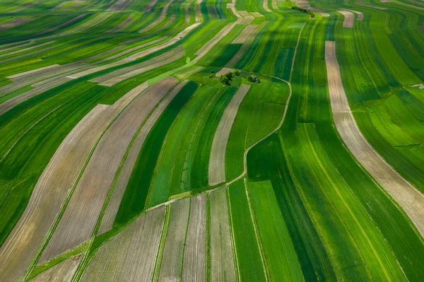 Polen Van Bovenaf Luchtfoto Van Groene Landbouwvelden Dorp Landschap Met — Stockfoto