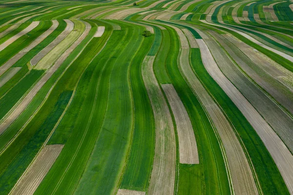 Πολωνία Από Ψηλά Αεροφωτογραφία Των Πράσινων Γεωργικών Αγρών Και Του — Φωτογραφία Αρχείου
