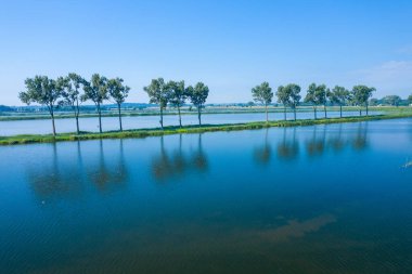 Yol kenarındaki ağaçların hava manzarası, göl manzarası. 