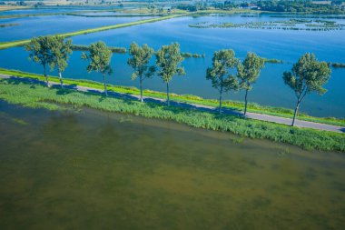 Yol kenarındaki ağaçların hava manzarası, göl manzarası. 