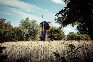 Kırsal kesimde ahşap fabrikası. Polonya 'nın geleneksel köyü. Açık Hava Müzesi. Lublin Voyvoda 'nın farklı bölgelerinden ahşap halk mimarisi. Polonya