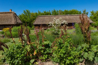 Polonya 'nın geleneksel köyü. Açık Hava Müzesi. Ahşap evler. Lublin Voyvoda 'nın farklı bölgelerinden ahşap halk mimarisi. Polonya