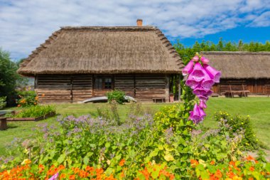 Polonya 'nın geleneksel köyü. Açık Hava Müzesi. Ahşap evler. Lublin Voyvoda 'nın farklı bölgelerinden ahşap halk mimarisi. Polonya