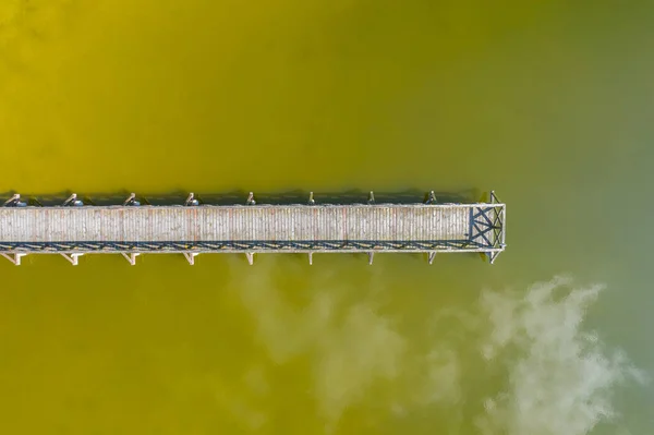 Flygfoto Över Liten Trädocka Sjö — Stockfoto