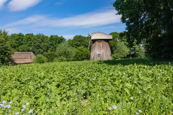 Mulino Legno Campagna Villaggio Tradizionale Polonia Museo All Aperto Architettura — Foto Stock