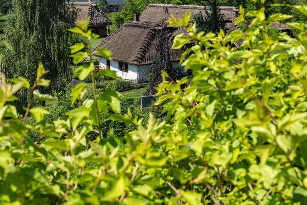 ポーランドの伝統的な村 オープンエア博物館 木造住宅 ルブリン ヴォイヴォワーシップの異なる地域からの木造民俗建築 ポーランド — ストック写真