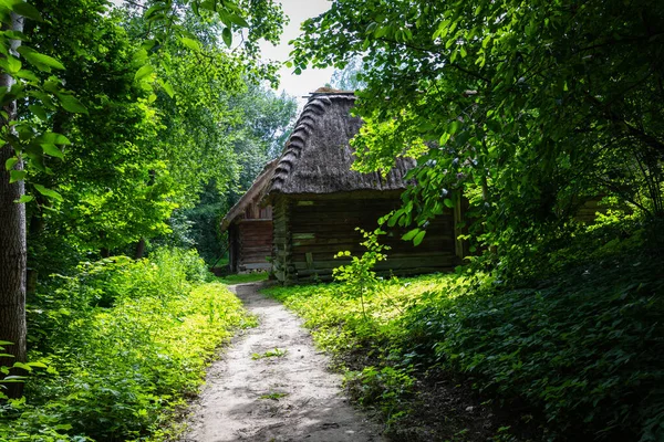 Traditioneel Dorp Polen Openluchtmuseum Houten Huizen Houten Volksarchitectuur Uit Verschillende — Stockfoto