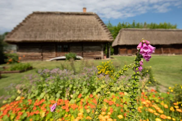 Traditioneel Dorp Polen Openluchtmuseum Houten Huizen Houten Volksarchitectuur Uit Verschillende — Stockfoto