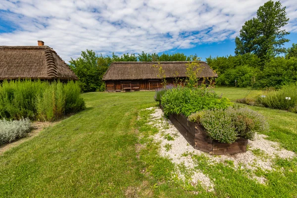 Pueblo Tradicional Polonia Museo Aire Libre Casas Madera Arquitectura Popular — Foto de Stock